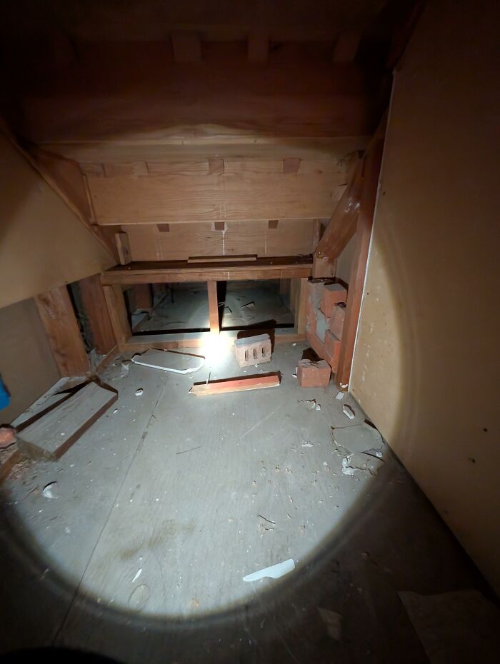 Understairs Space: Pantry or Spider Lair?