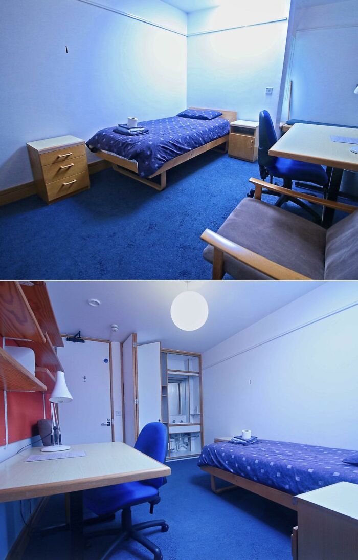 Oxford Dorm with a Blue Carpet… What Now?