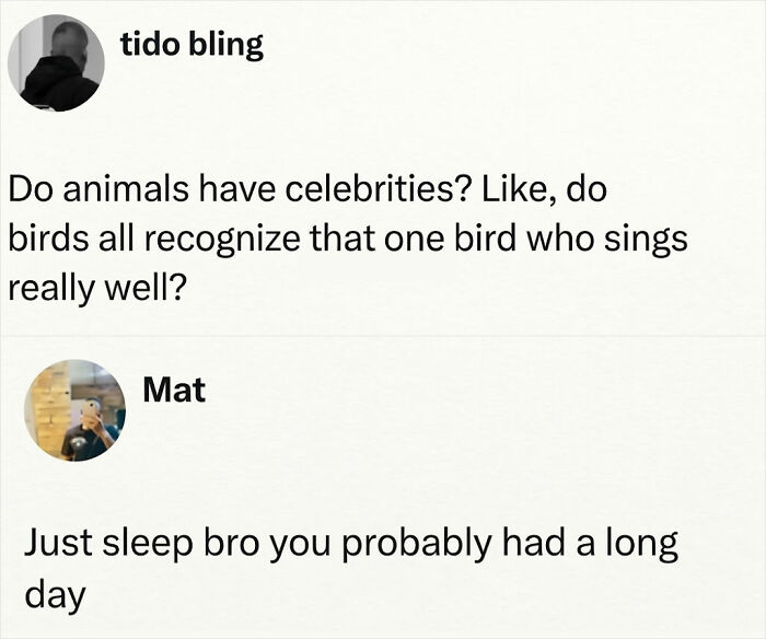 Dude Accidentally Became an Animal Sociologist at 2 AM