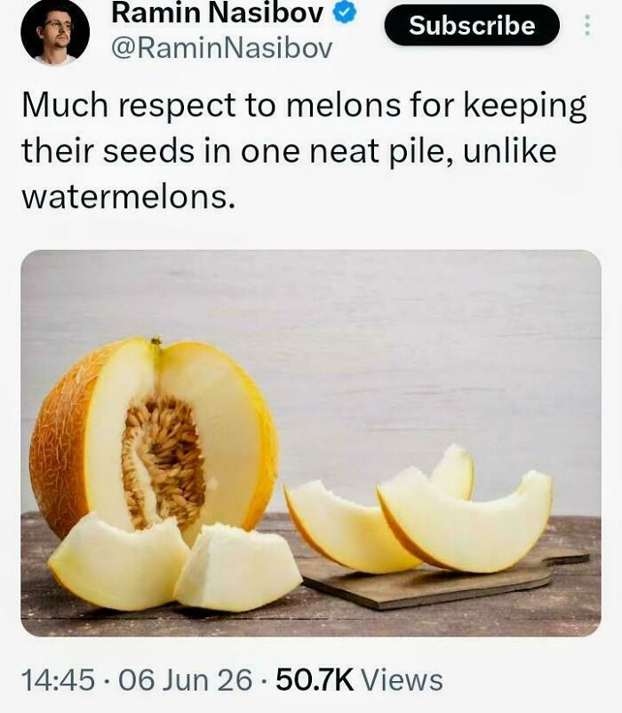 Melons: Organized Chaos Experts