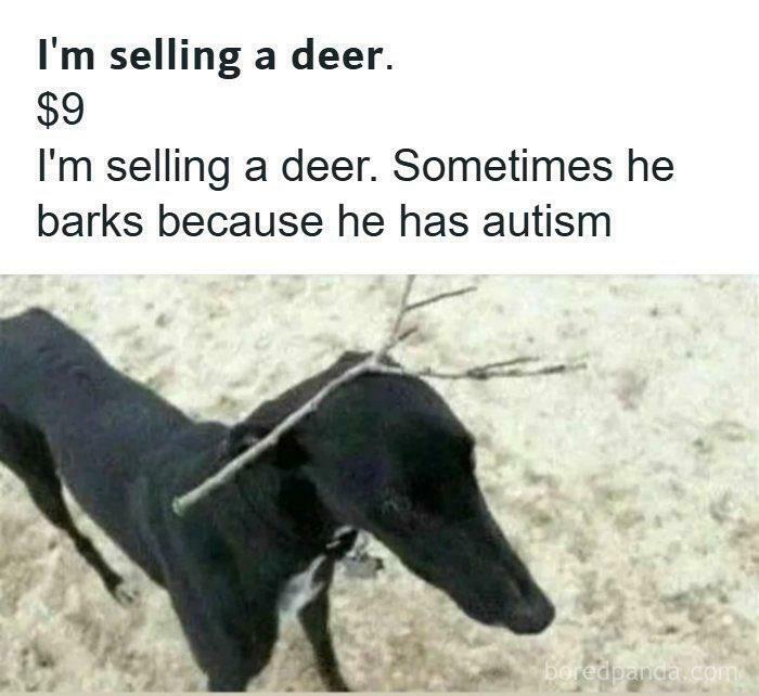 Selling Like a Pro