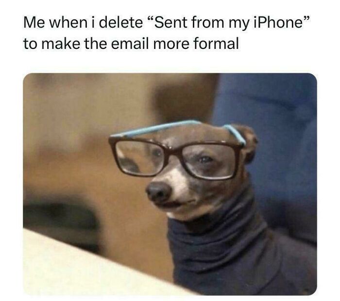 Professional? Meh.