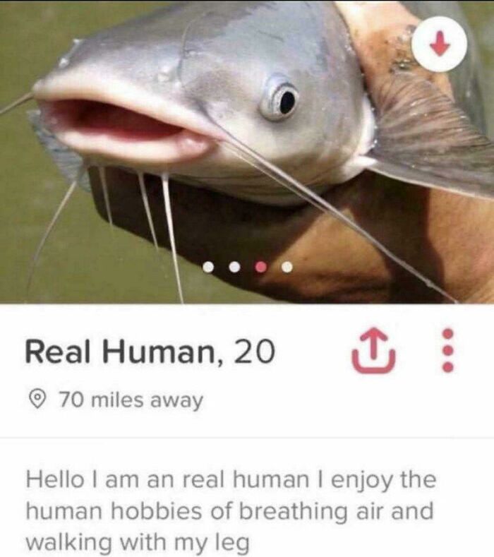 Definitely Not a Catfish, Promise