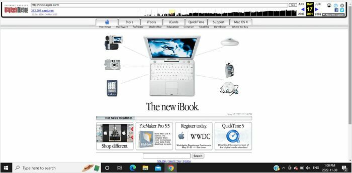Wait, They Actually Saved These Weird Old Internet Screenshots?!