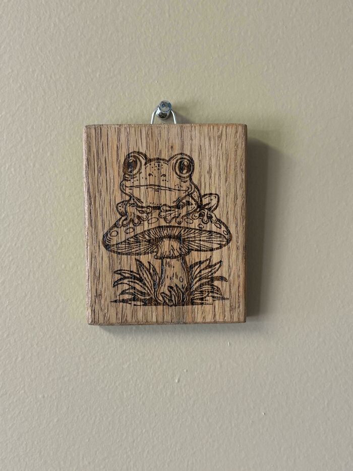 Frog Sitting On A Mushroom—Nature’s Little Moments