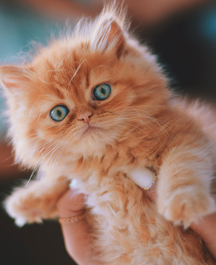 Harmless Little Secrets People Have Been Hiding Forever (And They’re Adorable)