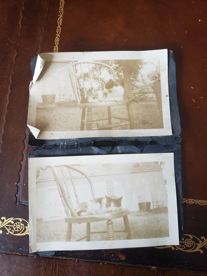Garage Treasure Found in an Old Farmhouse