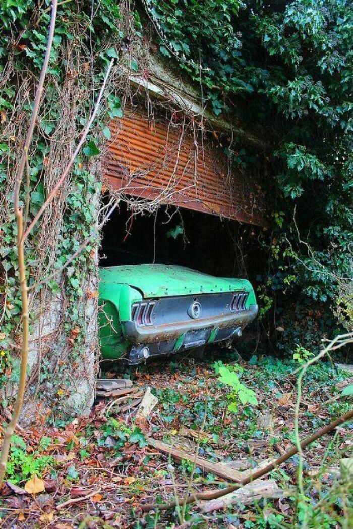 All About the Green Vibes