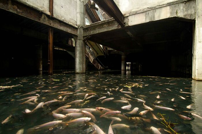You Won't Believe What People Found Hidden in Abandoned Places!