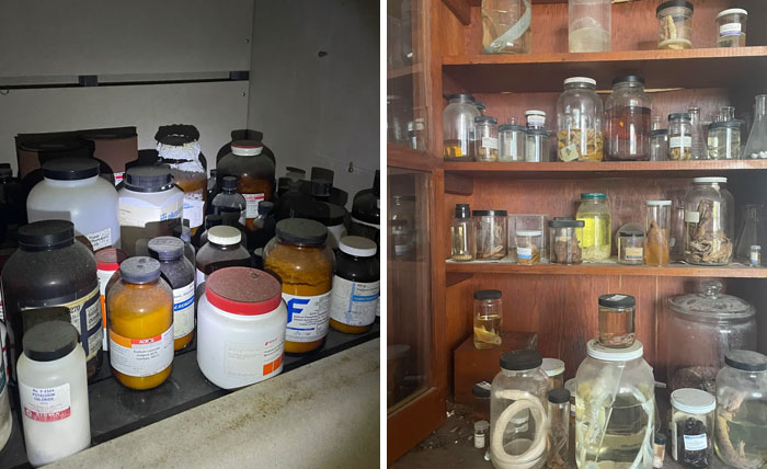 You Won't Believe What People Found Hidden in Abandoned Places!