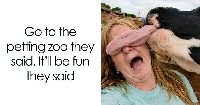 Wait, They Actually Turned Animal Pics Into Memes?! Prepare to Laugh!