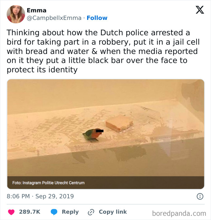 Wait, They Actually Turned Animal Pics Into Memes?! Prepare to Laugh!