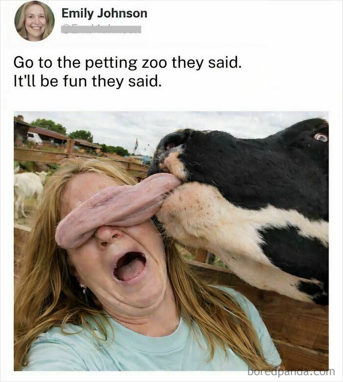 Wait, They Actually Turned Animal Pics Into Memes?! Prepare to Laugh!