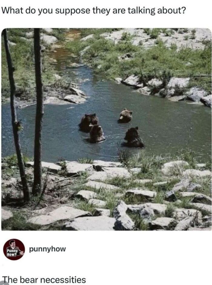 Wait, They Actually Turned Animal Pics Into Memes?! Prepare to Laugh!
