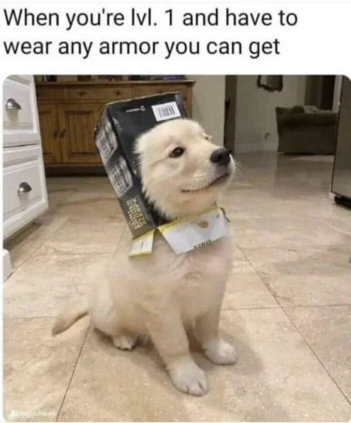 Wait, They Actually Turned Animal Pics Into Memes?! Prepare to Laugh!