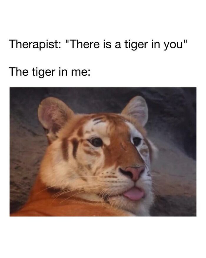 Wait, They Actually Turned Animal Pics Into Memes?! Prepare to Laugh!