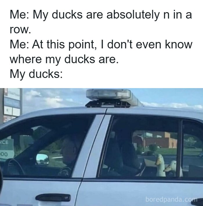Wait, They Actually Turned Animal Pics Into Memes?! Prepare to Laugh!