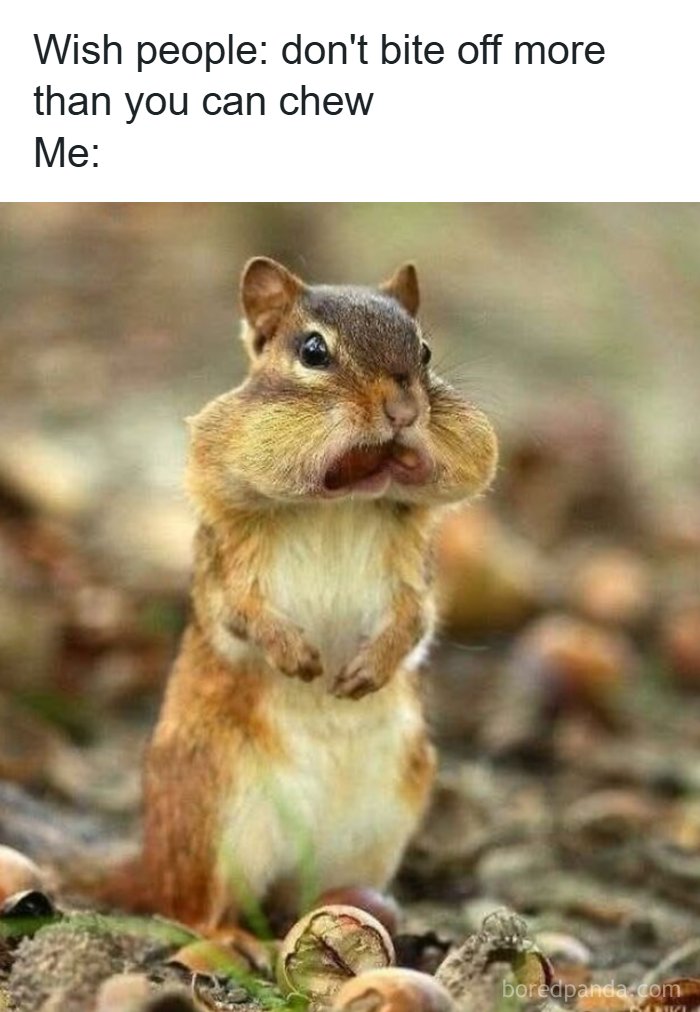 Wait, They Actually Turned Animal Pics Into Memes?! Prepare to Laugh!