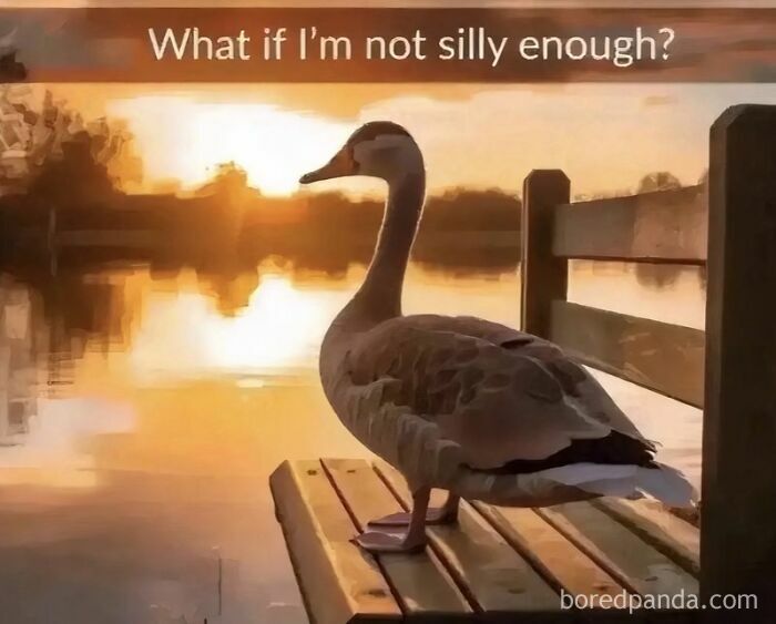 Wait, They Actually Turned Animal Pics Into Memes?! Prepare to Laugh!