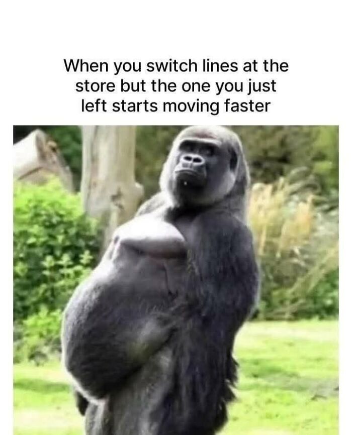 Wait, They Actually Turned Animal Pics Into Memes?! Prepare to Laugh!