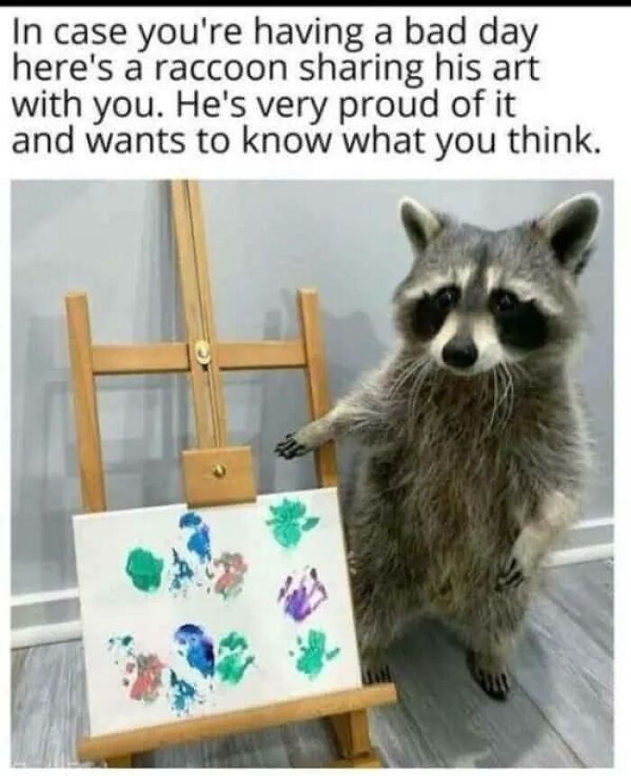 Wait, They Actually Turned Animal Pics Into Memes?! Prepare to Laugh!
