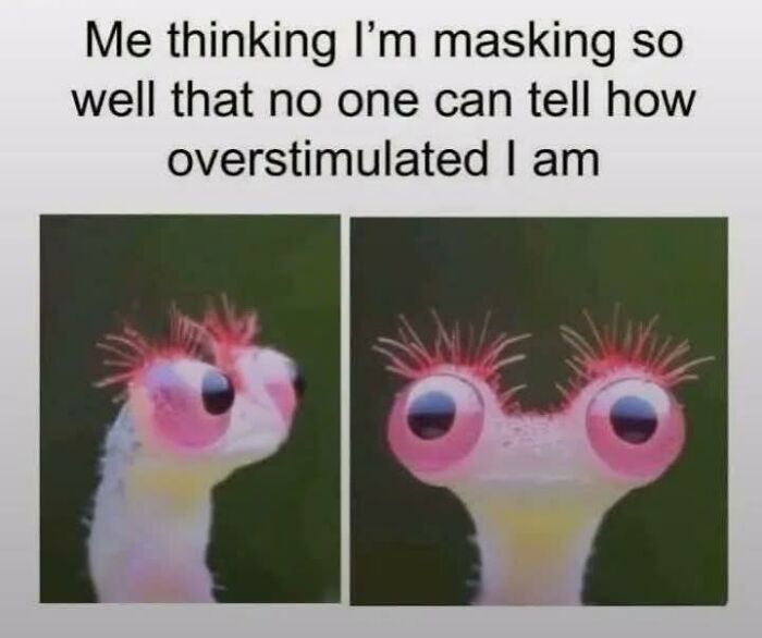 Wait, They Actually Turned Animal Pics Into Memes?! Prepare to Laugh!