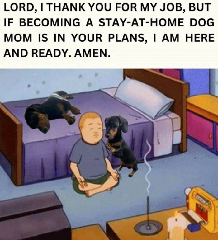 Wait, They Actually Turned Animal Pics Into Memes?! Prepare to Laugh!