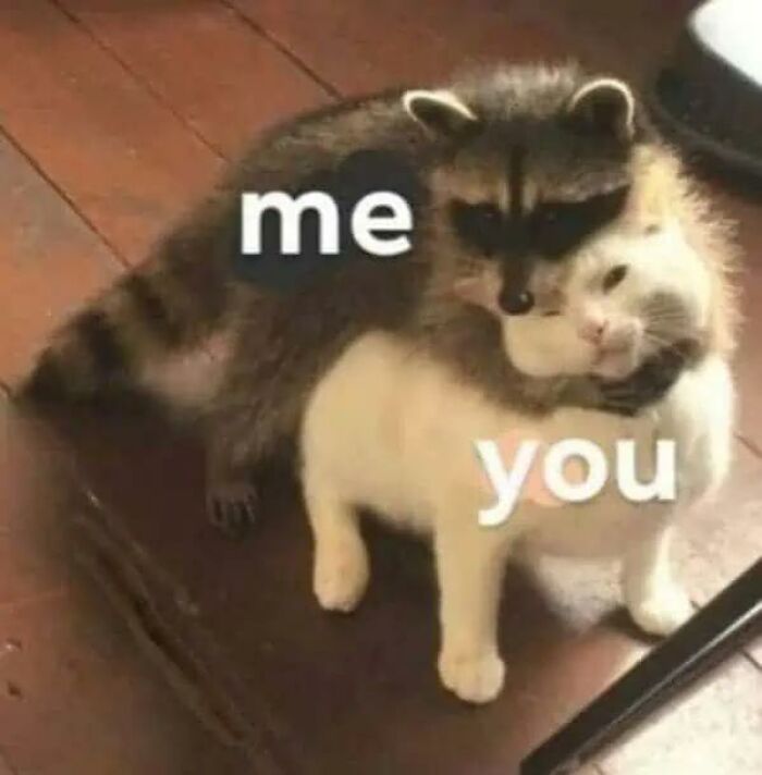 Wait, They Actually Turned Animal Pics Into Memes?! Prepare to Laugh!