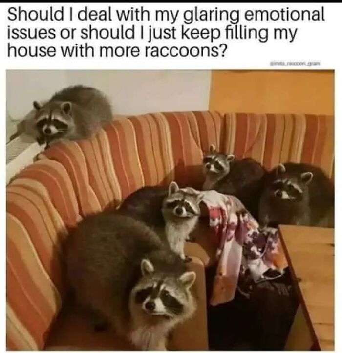 Wait, They Actually Turned Animal Pics Into Memes?! Prepare to Laugh!