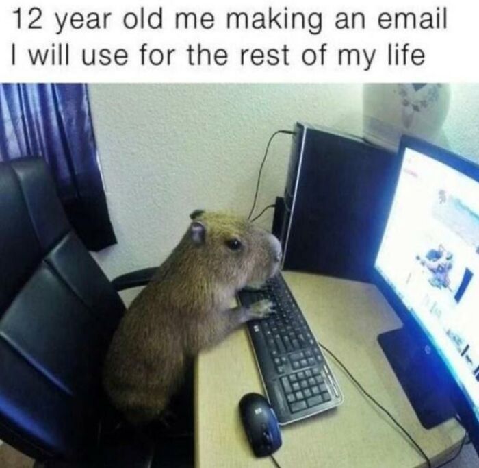 Wait, They Actually Turned Animal Pics Into Memes?! Prepare to Laugh!