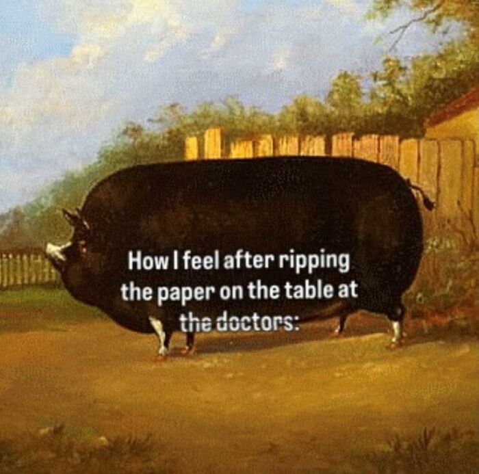 Wait, They Actually Turned Animal Pics Into Memes?! Prepare to Laugh!