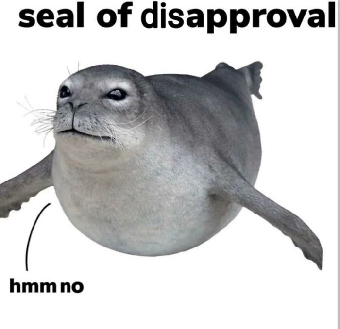 Wait, They Actually Turned Animal Pics Into Memes?! Prepare to Laugh!