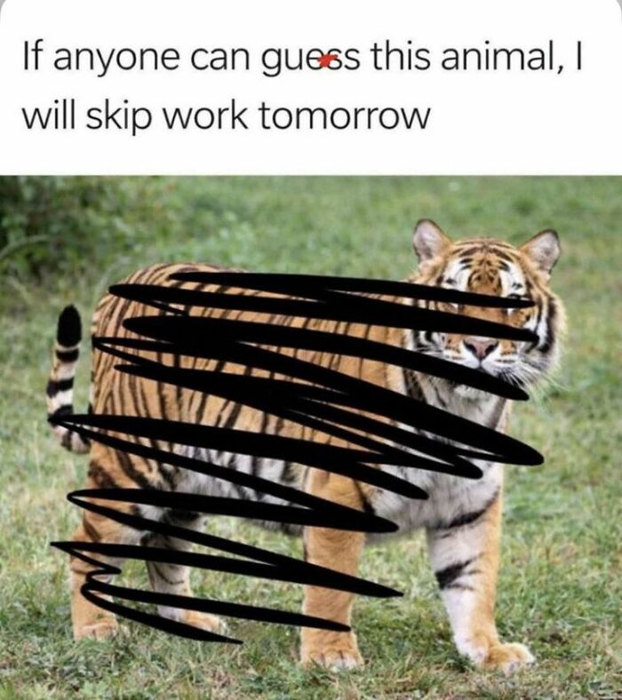 Wait, They Actually Turned Animal Pics Into Memes?! Prepare to Laugh!