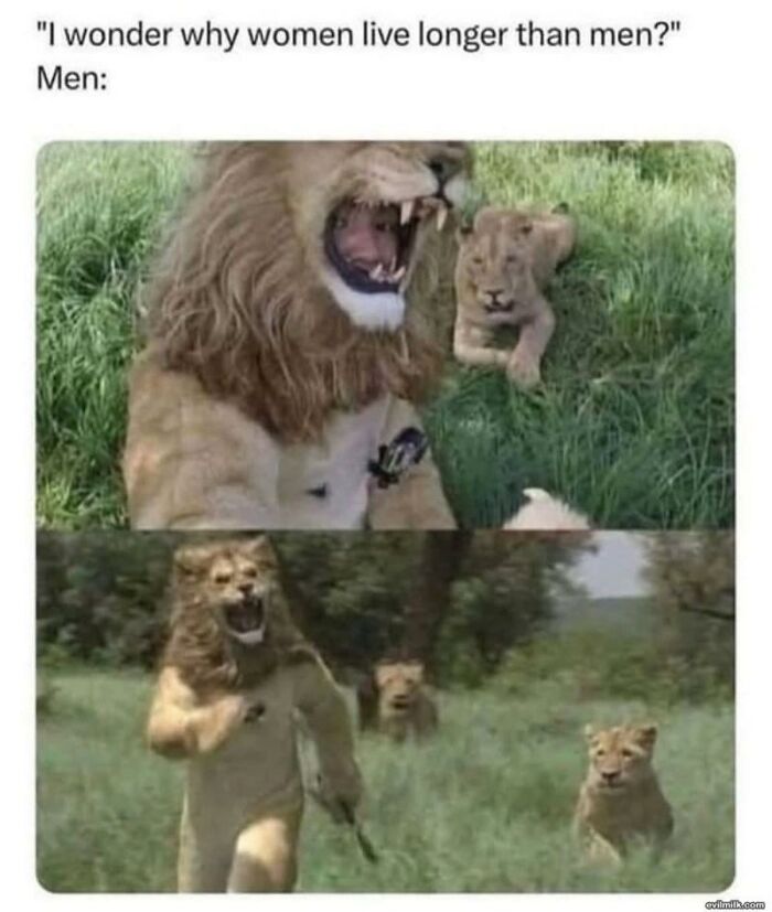 Wait, They Actually Turned Animal Pics Into Memes?! Prepare to Laugh!