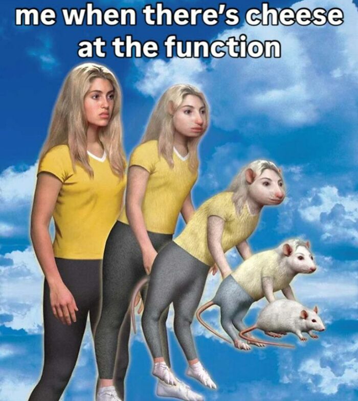 Wait, They Actually Turned Animal Pics Into Memes?! Prepare to Laugh!