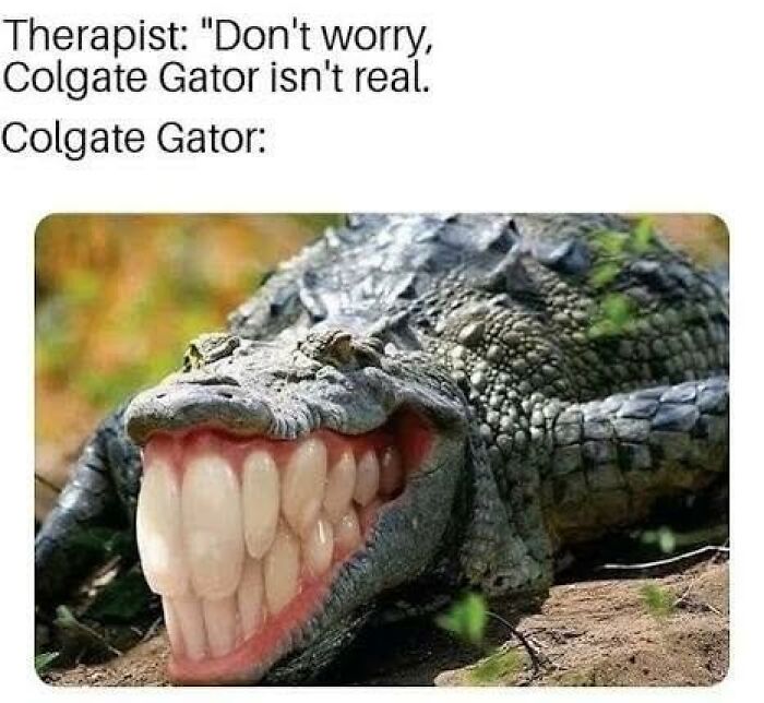 Wait, They Actually Turned Animal Pics Into Memes?! Prepare to Laugh!