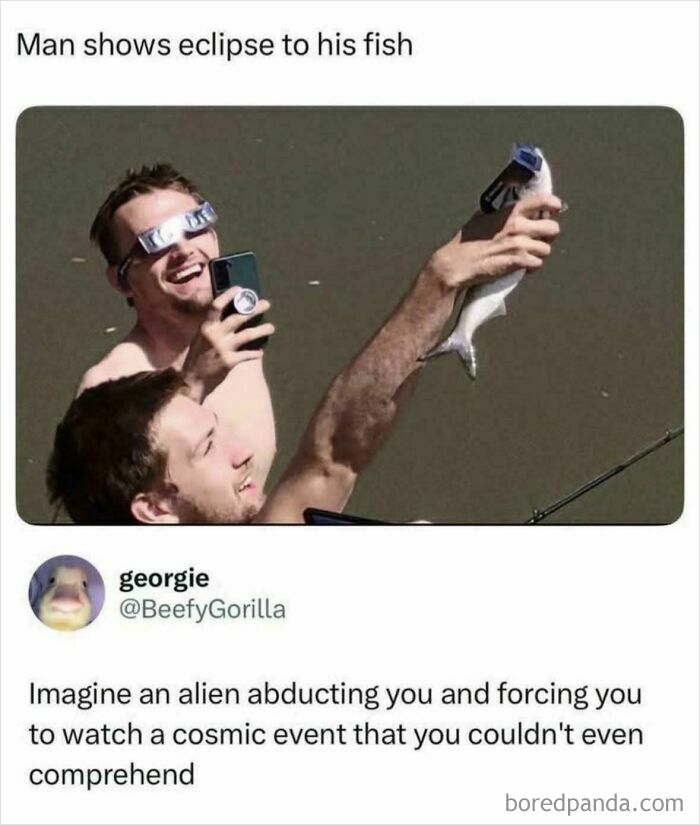 Wait, They Actually Turned Animal Pics Into Memes?! Prepare to Laugh!
