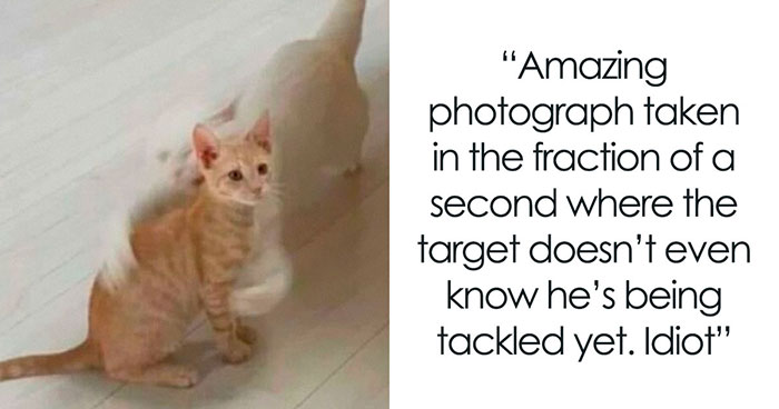 Let’s Dive Into Some Wild Tumblr Posts You Won’t Believe Exist