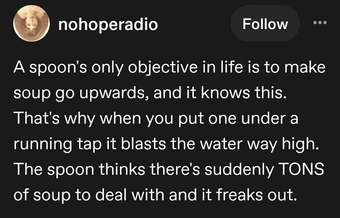 The Epic Tale of The Spoon