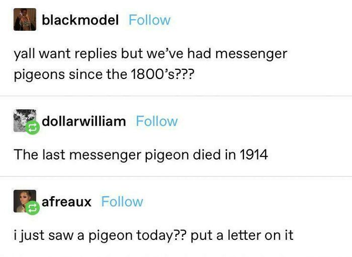 Let's Dive Into Some Wild Tumblr Posts You Won't Believe Exist