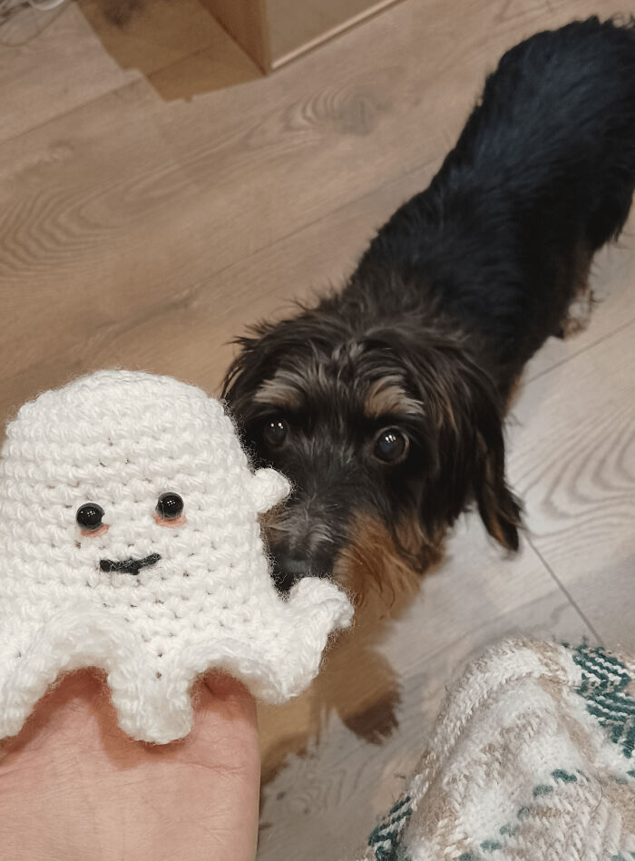 Crochet Whoopsies: 73 Projects That Took A Wild Left Turn