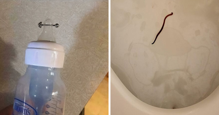 Wait, They Actually Ranked That?! 80 Times People Had No Idea What They Were Looking At