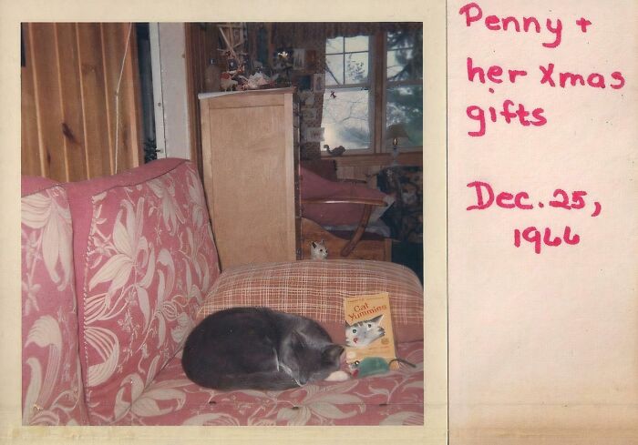 Why Does This Pic Make Me Feel All Sad Inside (Even Though It’s Not My Cat)
