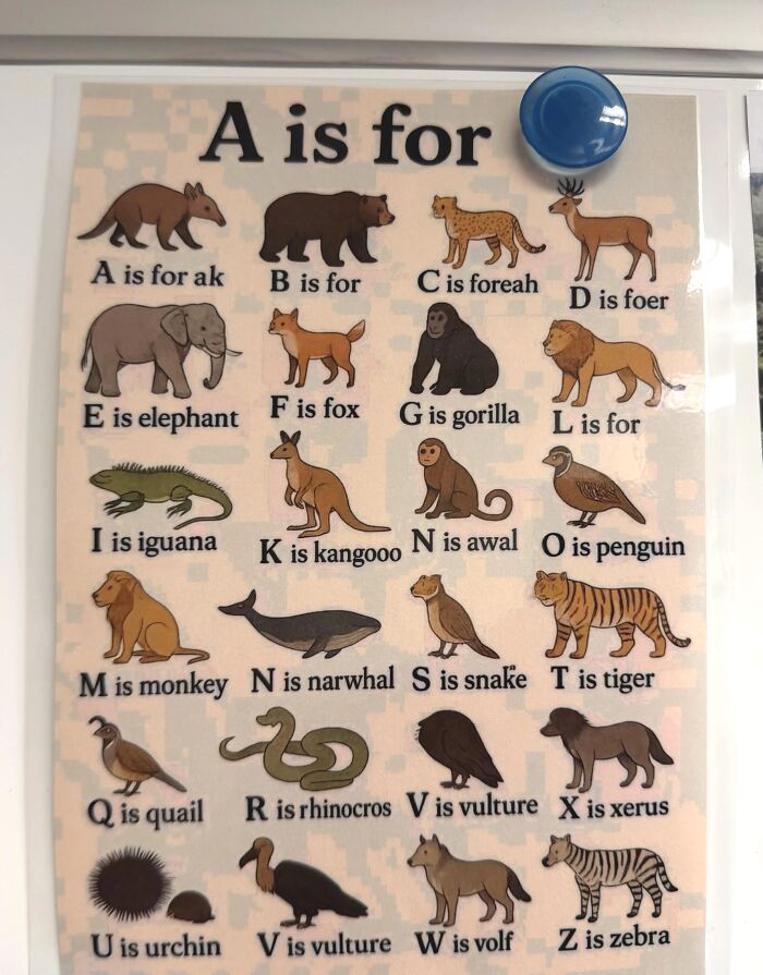 What Even Is This?