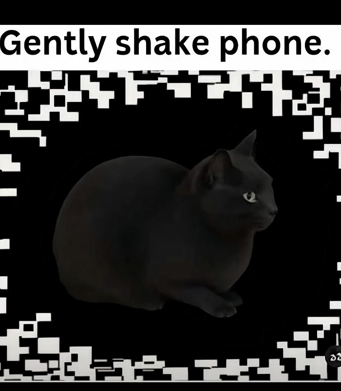 Why Does This Cat Look Like It’s Shaking?