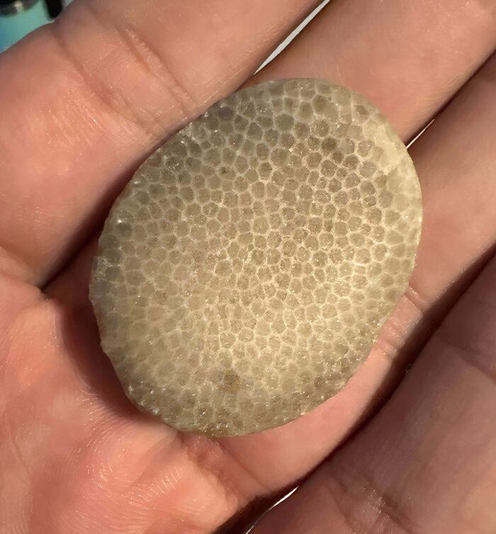 What Is This Thing?