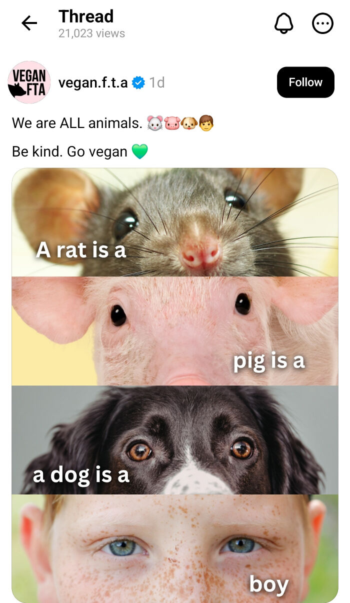 What? A Rat Is A Pig Is A Dog Is A Boy?!