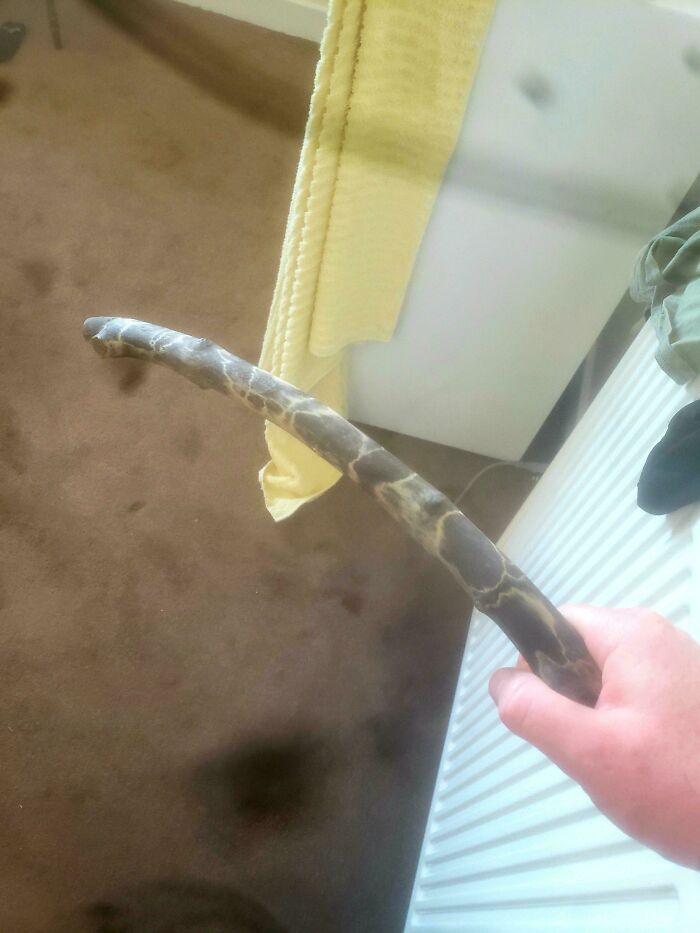 Cool Pattern on This Stick? Science Magic!