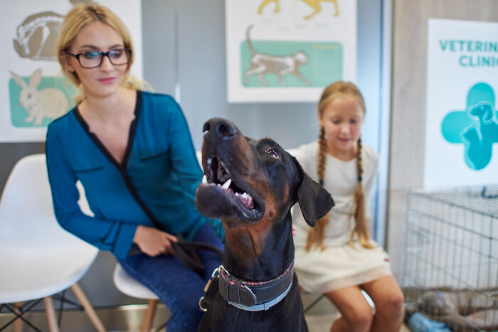 Therapists Who Totally Blew It: The WTF Stories People Shared When They Fired Them