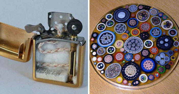 Wait ‘Til You See These Everyday Things Sliced In Half—Mind Blown!